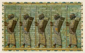 Backs Prints: Persian Bodyguard