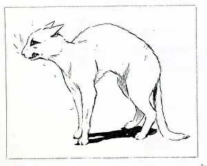 Realm Prints: Persian Cat, by Louis Wain