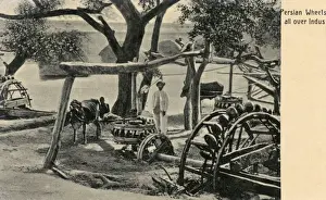 Irrigation Prints: Persian Waterwheel on the Indus, Pakistan