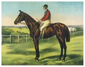 Derby Collection: Persimmon (Racehorse)
