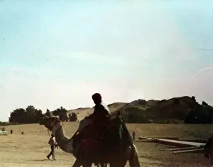 Oman Prints: Person on a camel in Oman