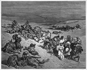 Plagues Prints: Pestilence in Egypt