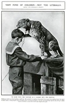 Affectionate Gallery: A pet cheetah in Paris, 1909