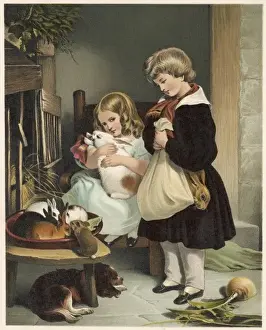 Pet Rabbits C1860