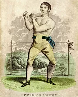 Boxing Collection: Peter Crawley, Boxer