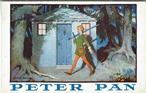 Peter Pan by J M Barrie
