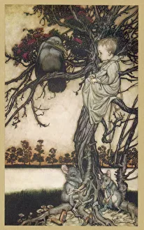 Peter Pan by J M Barrie