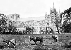 peterborough cathedral