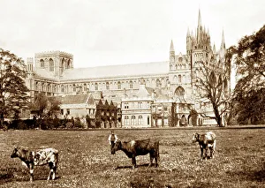 peterborough cathedral