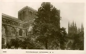 Peterborough Prints: Peterborough Cathedral, Peterborough, Cambridgeshire