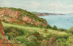 Petitor Down, Torquay, South Devon