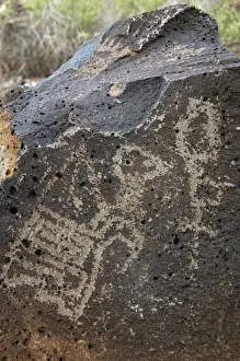 Petroglyph National Monument. Petroglyphs. New Mexico. USA