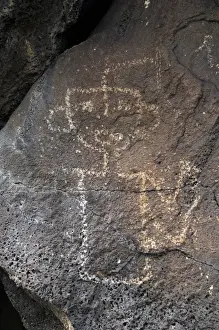 Petroglyph National Monument. Petroglyphs. New Mexico. USA