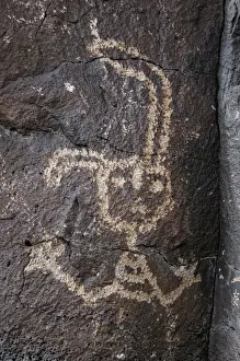 Petroglyph National Monument. Petroglyphs. New Mexico. USA