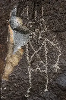 Petroglyph National Monument. Petroglyphs. New Mexico. USA