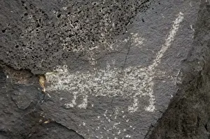 Petroglyph National Monument. Petroglyphs. New Mexico. USA