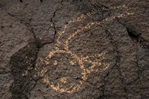 Petroglyph National Monument. Petroglyphs. New Mexico. USA