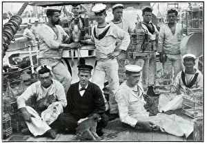 Salutes Prints: Pets brought home by men of HMS Thetis from St Helena