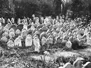 Headstone Prints: PETS CEMETERY