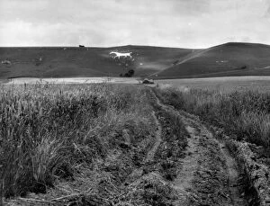 Images Dated 6th September 2011: Pewsey White Horse