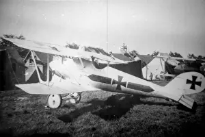 Biplanes Prints: Pfalz D III German fighter plane of Lt Lenz, Jasta 22