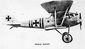 Pfalz DIII