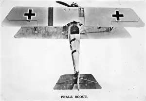 Diii Prints: Pfalz DIII