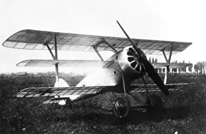 Triplane Prints: Pfalz Dr I German fighter triplane