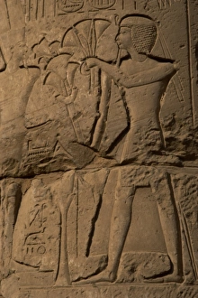 Images Dated 26th November 2003: Pharaoh making an offering of papyrus flowers to the gods. L