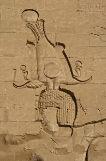 Pylon Gallery: The pharaoh Ptolemy XII Neo Dionysos Edfu. Egypt