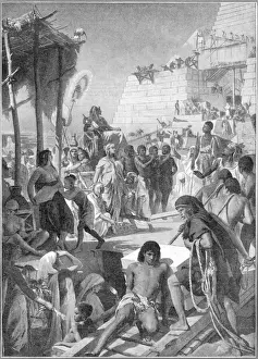 Pharaoh Views Pyramids