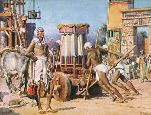 Oxen Gallery: Pharaohs Workers - Ancient Egypt - by Fortunino Matania