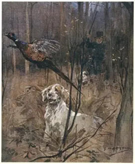 Pheasant Shooting, Old