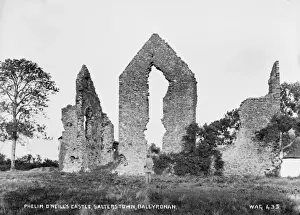 Phelim O Neills Castle, Salterstown, Ballyronan