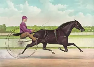 Dictator Prints: The phenomenal trotting gelding Jay Eye See, by Dictator, da