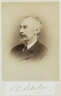 Philip Lutley Sclater