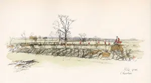 Gorse Prints: Philo Gorse, in the Cheshire Hunt area
