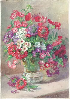 Arrangement Collection: Phlox drummondu and Verbena Flowers in vase Flower