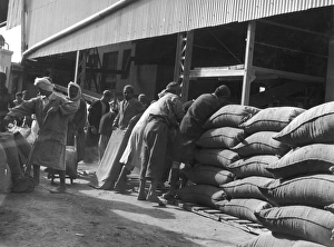 Acid Collection: Phosphate Mining