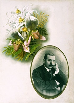 Images Dated 15th February 2011: Photo Album Page 19C