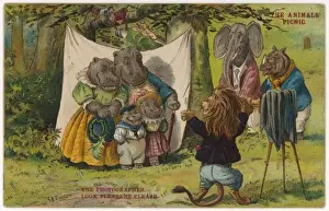 Hippo Prints: Photo of Hippo Family