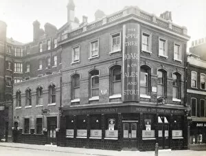The National Brewery Centre Archives Gallery: Photograph of Apple Tree PH, Mount Pleasant, London