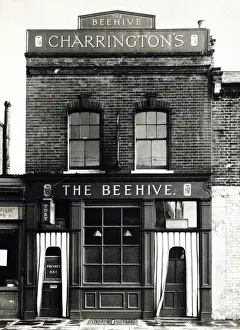 Photograph of Beehive PH, Wandsworth, London