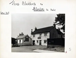 Bexley Prints: Photograph of Three Blackbirds PH, Bexley, Greater London