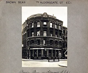 Barbican Prints: Photograph of Brown Bear PH, Barbican, London