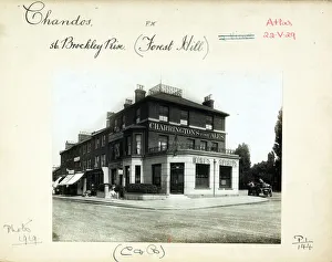 Photograph of Chandos PH, Forest Hill, London