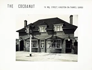 Photograph of Cocoanut PH, Kingston (New), Surrey
