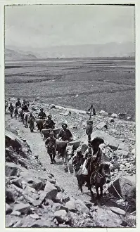 Photograph from a fascinating album which reveals new details on a little-known campaign in which a British military force brushed aside Tibetan defences to capture Lhasa, in 1904