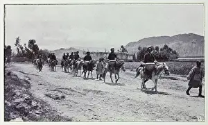 Photograph from a fascinating album which reveals new details on a little-known campaign in which a British military force brushed aside Tibetan defences to capture Lhasa, in 1904