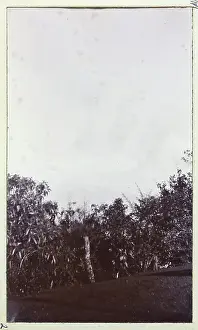 Photograph from a fascinating album which reveals new details on a little-known campaign in which a British military force brushed aside Tibetan defences to capture Lhasa, in 1904